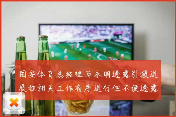 国安体育总经理马永明透露引援进展称相关工作有序进行但不便透露名字